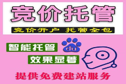 竞价推广公司经典案例：打造行业领先的广告投放效果